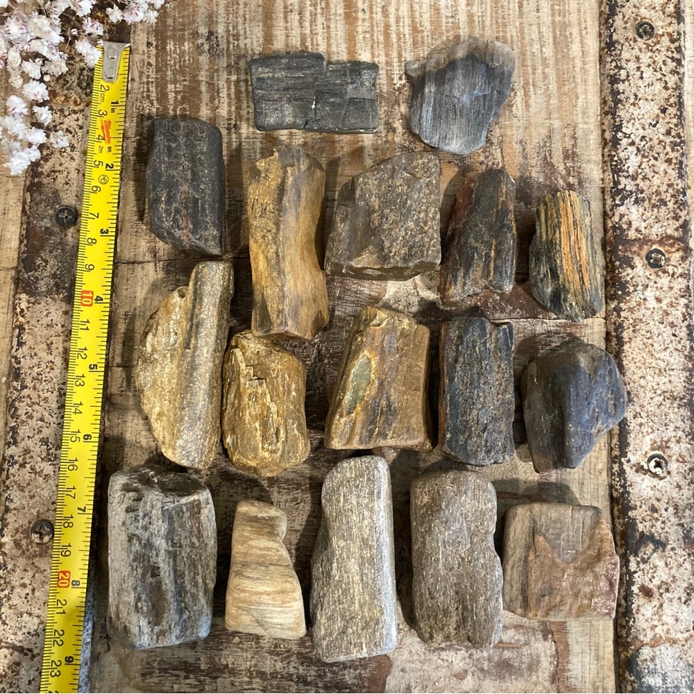 17pcs Petrified Wood 🪵 Rock Collection - Picture 4 of 17